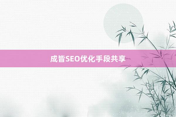 成皆SEO优化手段共享