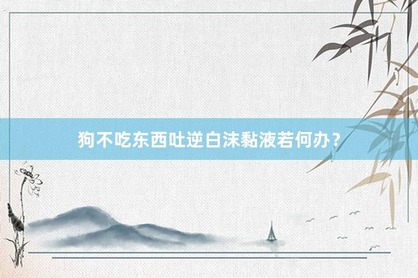 狗不吃东西吐逆白沫黏液若何办？